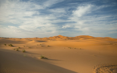 Fototapeta na wymiar Na pustyni, Maroko, Sahara