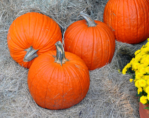 Pumpkins in display over a bed of straw