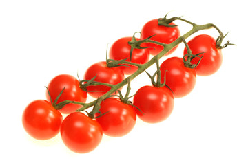 Vine Grown Cherry Tomatoes