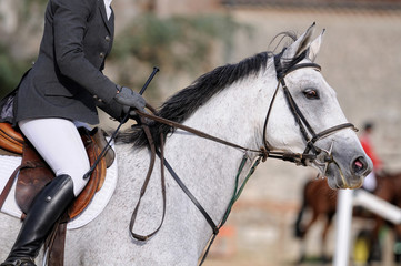 un jockey à l'entrainement