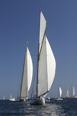 Fototapeta premium Voiles de Saint-Tropez