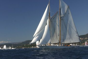 Obraz premium Voiles de Saint-Tropez