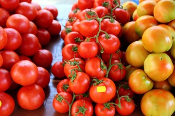 Tomatoes stacked in market different species
