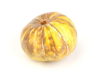 Single fresh pumpkin