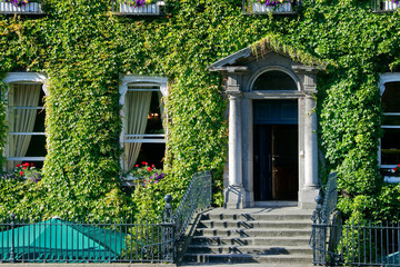 Irish windows surrounded by creeping ivy plants