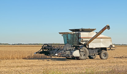Fototapeta premium Combine Harvesting Soybeans