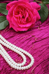 Rose and pearls