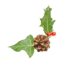 Holly ivy and pine cone
