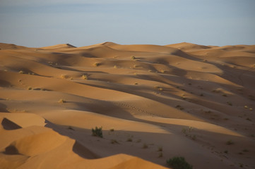 Fototapeta na wymiar In der Wüste, Marokko, Sahara
