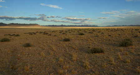 desert de Namib 2