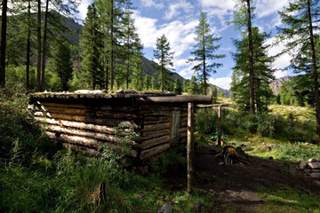 Wood shack (winter hut) in wild forest. Taiga, Siberia, Sayan.