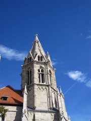 Divi Blasii Kirche in Mühlhausen