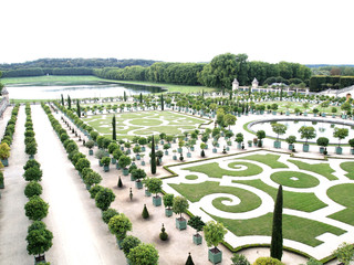 Orange trees garden at Versailles in France