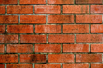 old bricks wall