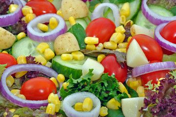 Salad Close up