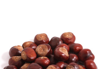 Horse chestnut