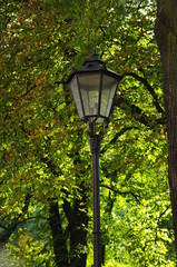 Latarnia w parku © emar