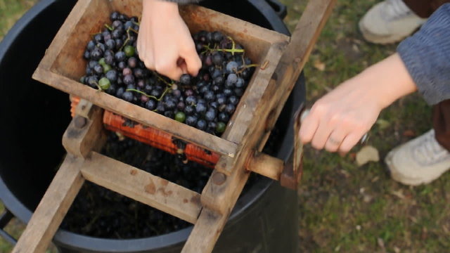 vine making
