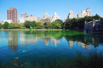 Fototapeta na wymiar New York City Central Park Manhattan skyline