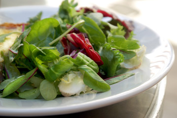 Green leaf salad