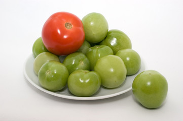 Tomatos