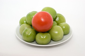 Tomatos
