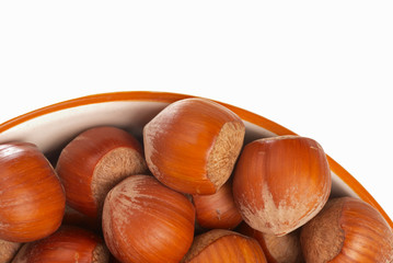 Obraz premium Hazelnuts
