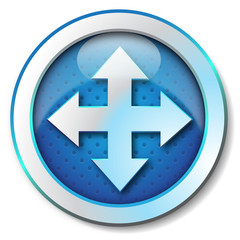 Move icon