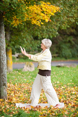 seniorin übt tai chi