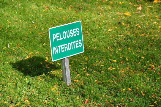 pelouse interdite