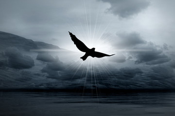 Misty light in skies