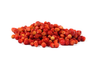 Wild strawberries