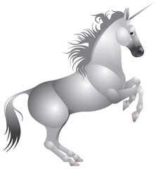 Unicorn, white horse with horn