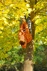 Boy hand on tree in autumn