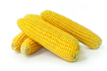 Fresh corncobs