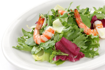 Prawn Salad , Shrimp Salad