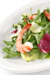 Prawn Salad , Shrimp Salad
