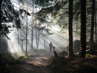 Wandern durch Sonnenstrahlen