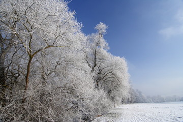 Winterlandschaft
