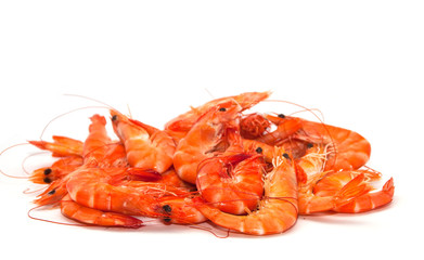 Shrimp on a white background.