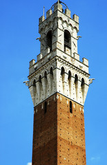 Torre del Mangia a Siena