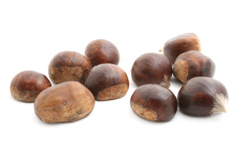 chestnut
