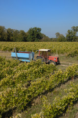 vendanges mécaniques