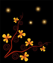 Yellow Flower with Black Background