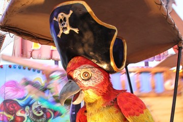 Pirat (Papagei)