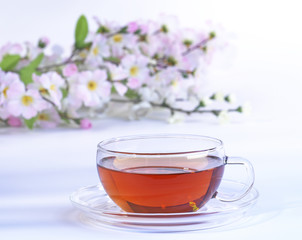Teetasse
