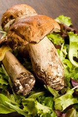 Funghi porcini su Tavola di legno