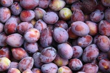 Prunes