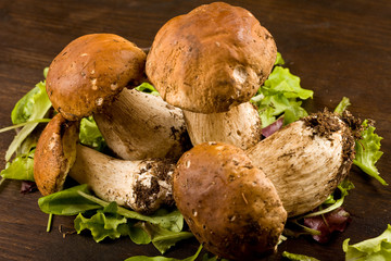 Funghi porcini su Tavola di legno