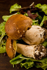 Funghi porcini su Tavola di legno